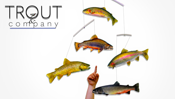 Trout & Company Product